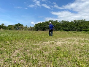 5月25日草刈り.jpg