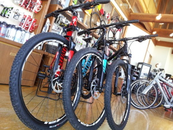 SPECIALIZED ROCKHOPPER 29サムネイル