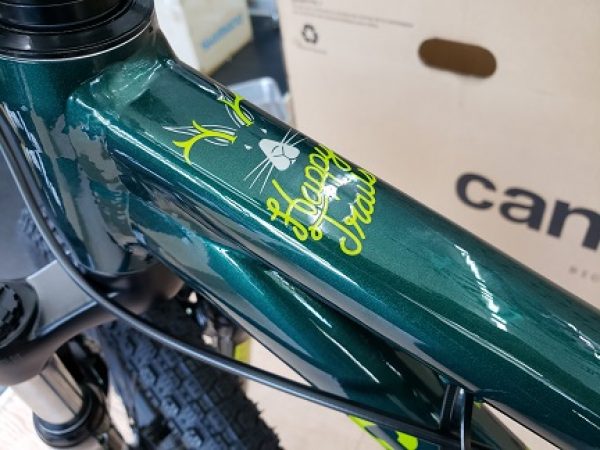 cannondale入荷サムネイル