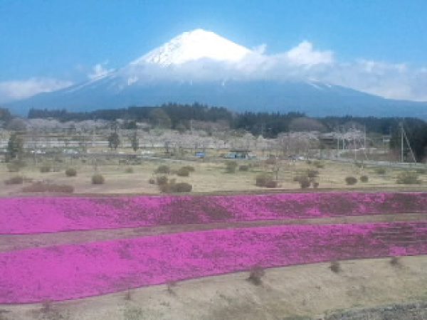 富士の裾野サムネイル